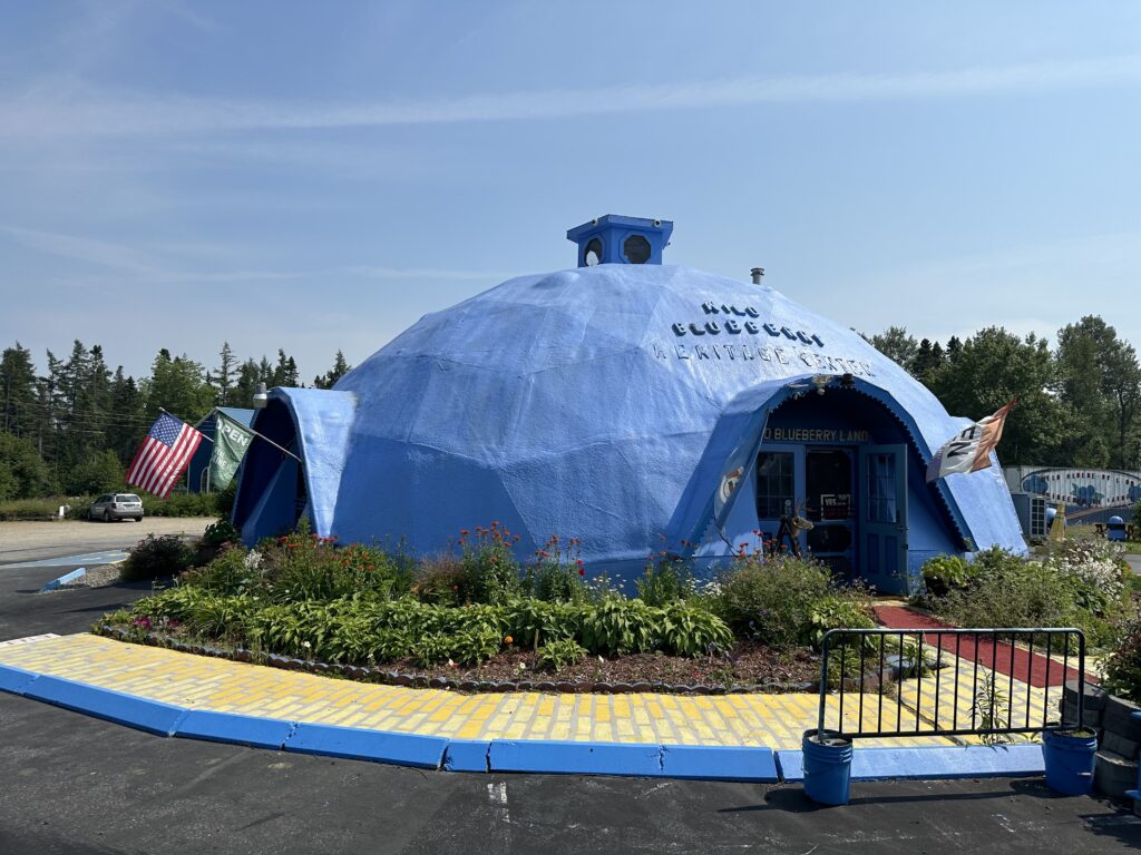 Blueberry Land